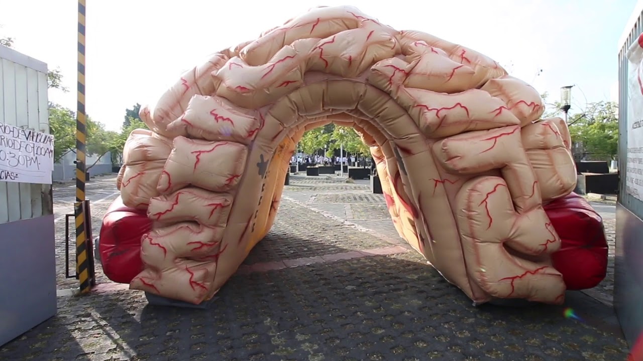 Felipe Padilla Vázquez-19