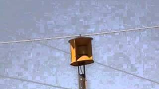 preview picture of video 'Norman, Oklahoma Tornado Siren Test'