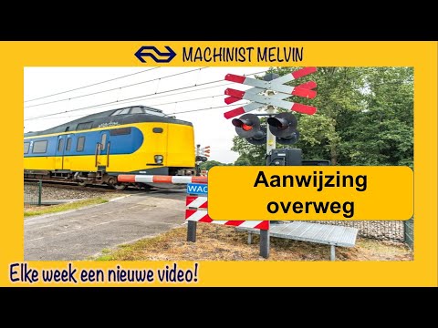 4k AANWIJZING OVERWEG bij overweg na ZALTBOMMEL! Zo ontstaat vertraging!!