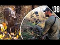 BIG BUCK At 10 Yards BOW HUNTING The RUT