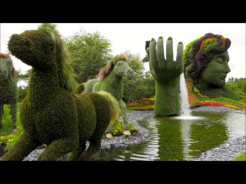 MoodShifter - Presence - Earth Garden Festival 2015 (Psytrance / Progressive Mix)