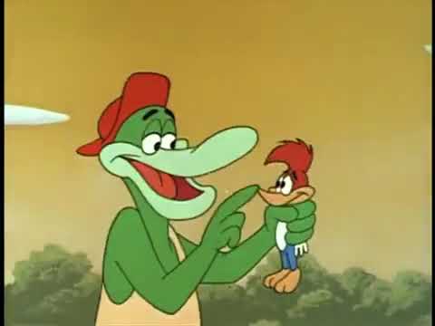 Woody Woodpecker Romp in a Swamp