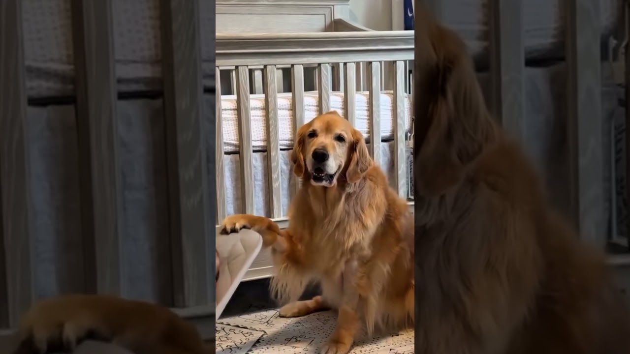 Jorge Emilio Navarro Palmera-27