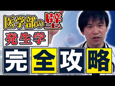 医学科 【医学部発生学】聞き流しでOK！現役医師が教える完全攻略法！