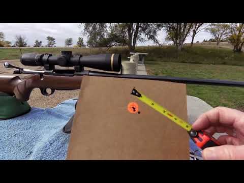 Tikka T3, 243 Win. Two out of three ain't bad