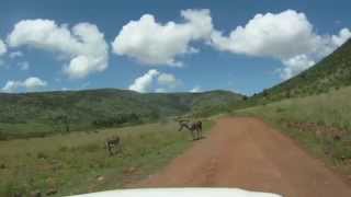 preview picture of video 'Pilanesberg GOPRO 2014'