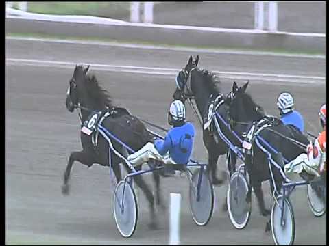 Trotto 14/02/2016 - 2° corsa