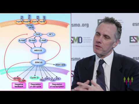 Landscape of mutations in the MAPK pathway