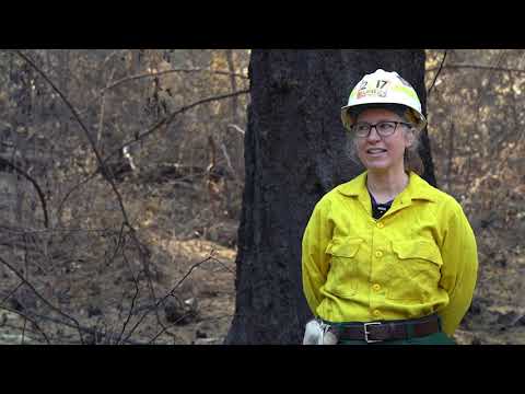 Signs of Hope: Burned Area Emergency Response on the...