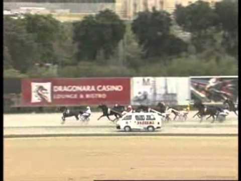 www kennethvella com  MEETING (52) Date 22-12-2013 PART 1 RACE 1,2,3,4,5,6,7