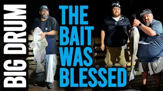Black Drum Fishing with BLESSED bait