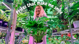 LA’s LARGEST Ongoing Daily Plant Market Has the Deals and Selection!