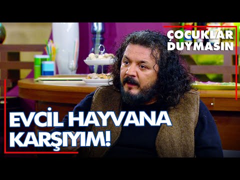 Mustafa Ali'nin empati yeteneği - Çocuklar Duymasın 85. Bölüm