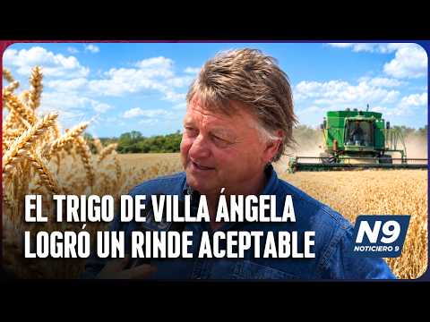 EL TRIGO DE VILLA ÁNGELA LOGRÓ UN RINDE ACEPTABLE