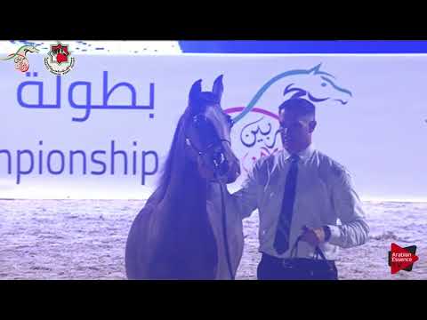 N 91 ASEELA AL MEYDAN   Emirates AHBC