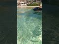 Atlantis Little Mermaid