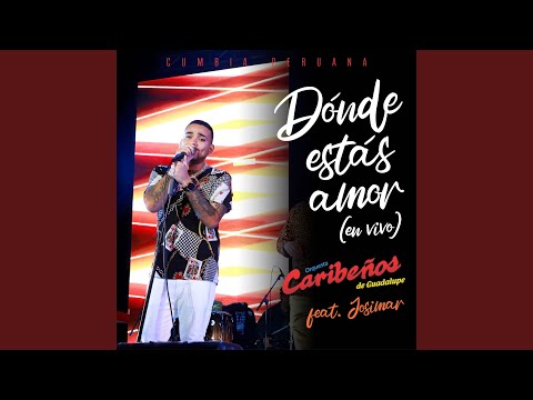 ¿Dónde estás amor?