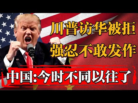 纪实Talk