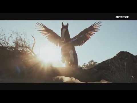 Budweiser Clydesdale soars in new Super Bowl LX commercial