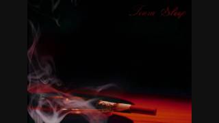 Team Sleep - Paris Arm