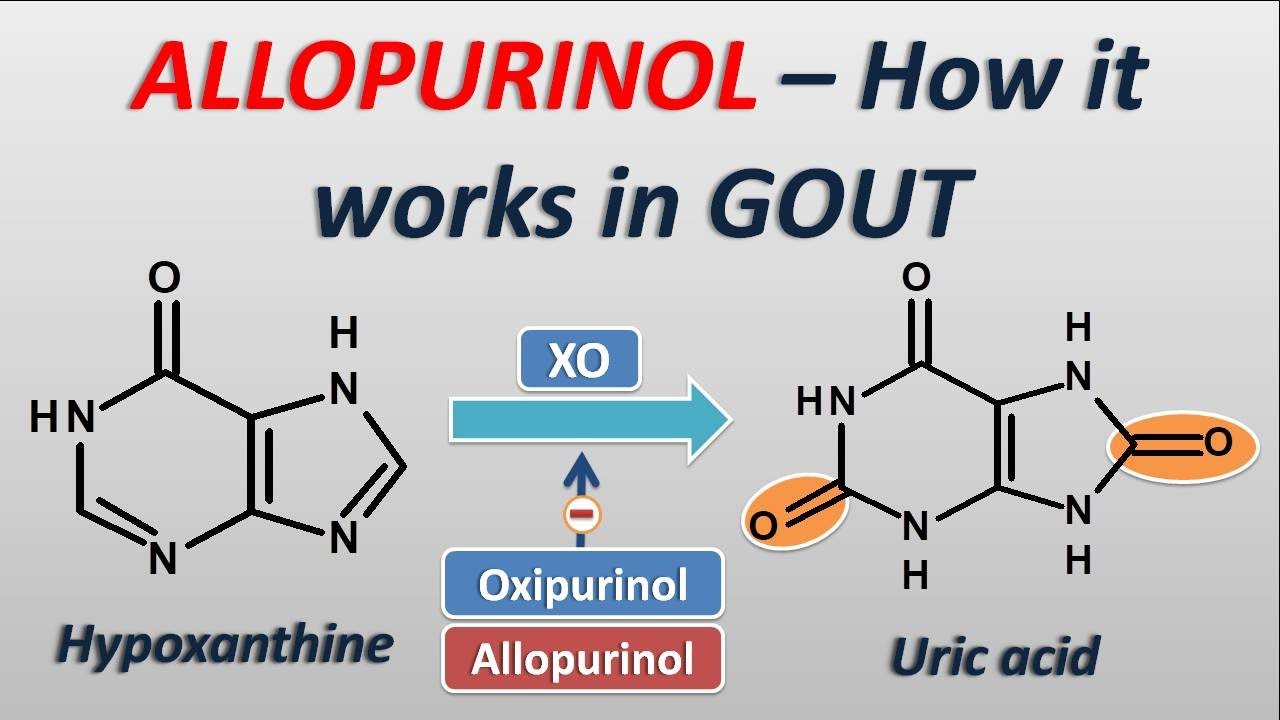 Allopurinol - How it works in treatment of GOUT