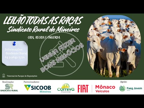 LEILÃO TODAS AS RAÇAS - MINEIROS-GO | 19/01/2026 | 19:30h