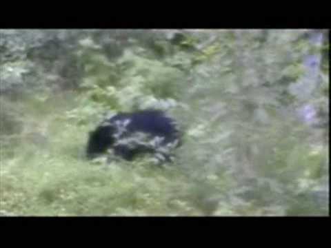 Tom and Joe goes fishing