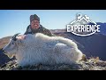 18 Years In The Making, Colorado Mountain Goat Hunt with TJ Sanchez