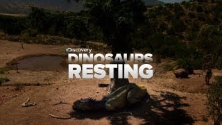 SO CUTE: Sleeping Dinosaurs!!