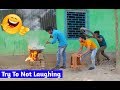 Must Watch New Funny Comedy Videos 2019 Episode 12 Funny Ki Vines
