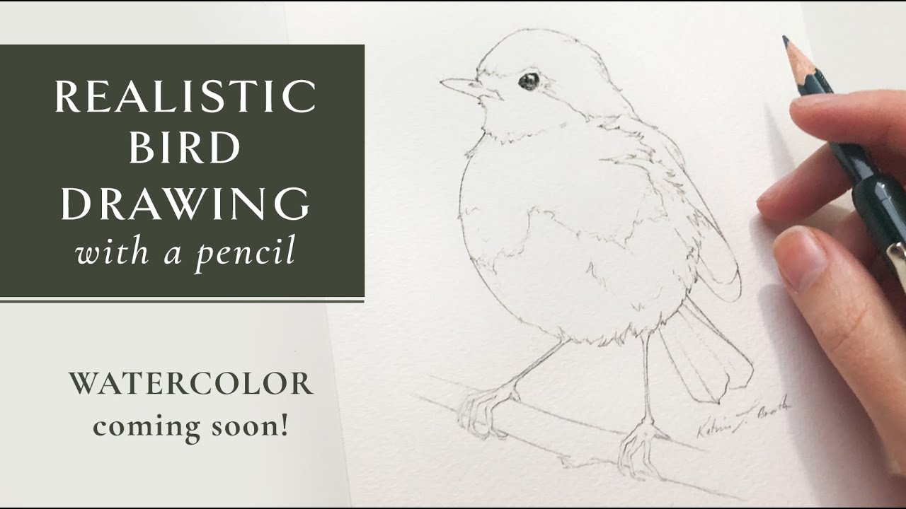 Easy Realistic Bird Drawing Tutorial - Pencil Sketch