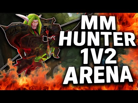 MM HUNTER 1V2 ARENA. World of Warcraft