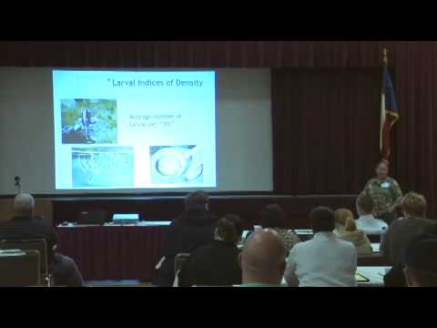 Dr  Janet McAllister 2