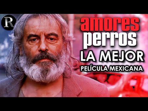 La Mejor Película Mexicana: Amores Perros | Análisis y Explicación