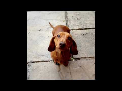 Art of Noise  - To Be In England In The Summer Time - Fan Made Mashup