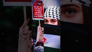 Download lagu Gaza To Night#videolirik #trendingshorts#palestina mp3 Download lagu Gaza To Night#videolirik #trendingshorts#palestina mp3