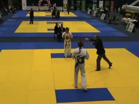 ASHIHARA KARATE World Championship 2011- Paraschiv Mihai(RO) vs Portasov Maxim(RU)-semifinal