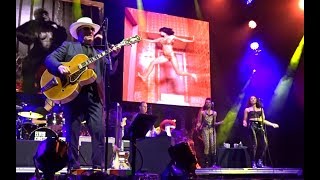 Elvis Costello Monkey to Man Los Angeles Greek Theater 8/5/19