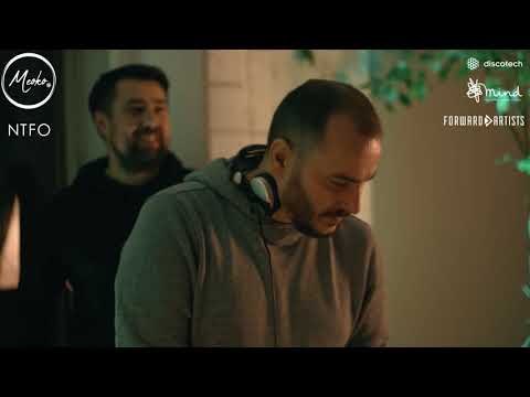 Meoko x Forward Artists x Mind | NTFO