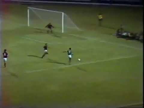 Ademir da Guia - Palmeiras 2x1 Juventus (1975)