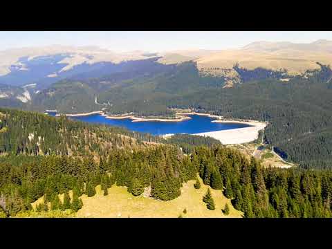 Podul cu florile. Vf Zănoaga mare