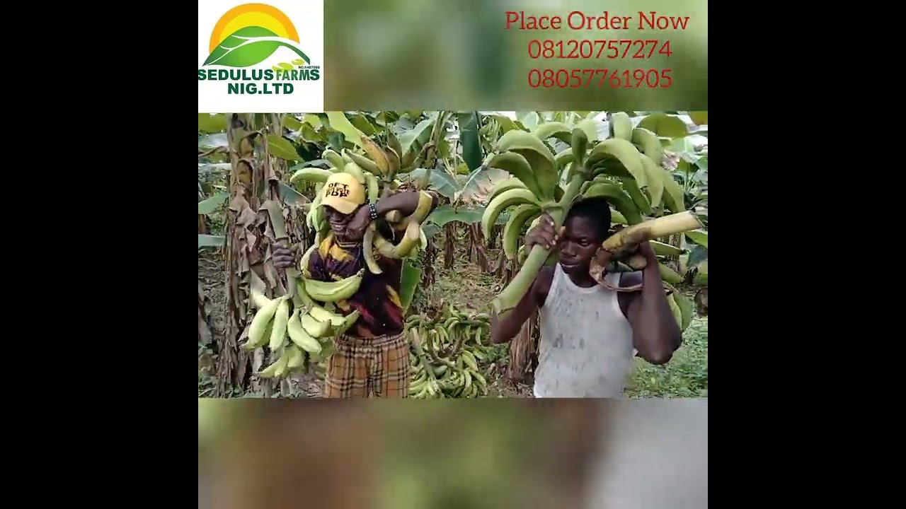 Inside Our Farm Video thumbnail