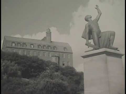 Staden vid Göta älv(1938)  Bilder från Göteborg. Hamnen, fiskhandel,