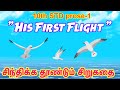 His First Flight Class 10 In TAMIL 10th English 1st Lesson Comali 2d