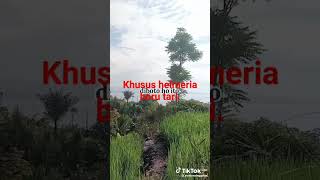 Download lagu khusus untuk kekasih tercinta dihari ini adalah Emme ria mp3