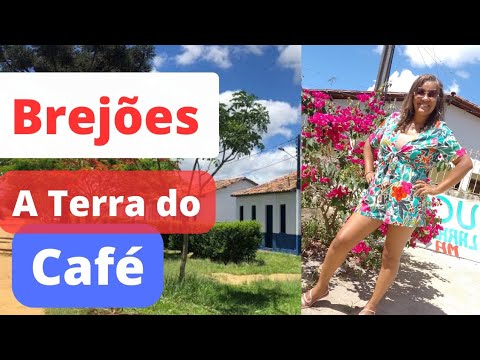 Brejões é cidade do melhor café da Bahia