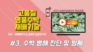 [고품질 수박 재배기술] part3. 수박 병해 진단 및 방제