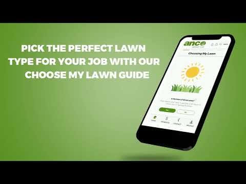 Client video production