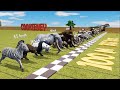 Big Race 30 Wild Animals Which Is The Fastest Animal CookieNey