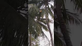 Download lagu Detik-detik Kejadian Aneh Tapi nyata mp3 Download lagu Detik-detik Kejadian Aneh Tapi nyata mp3